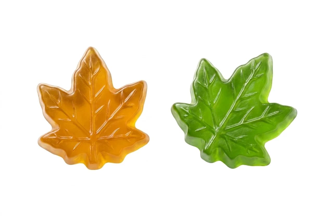 Two maple-leaf gummies on white, one amber gold seen flat and one green angled to show the moulded profile